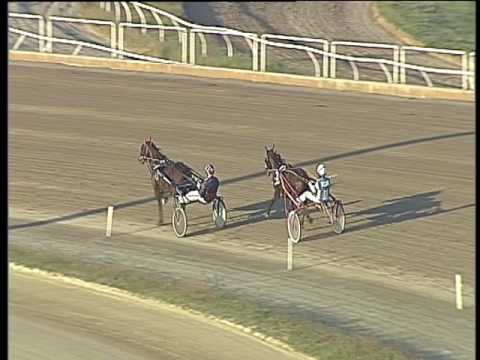 Trotto 31/03/2017 - prova di qualifica