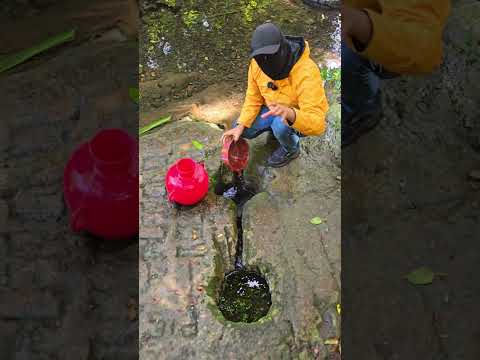 Sorprendente nace AGUA en estos pozos: San Alejo, La Unión, El Salvador  #naturaleza #turismo