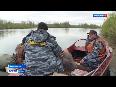 «Всероссийский день без сетей» в Республике Коми