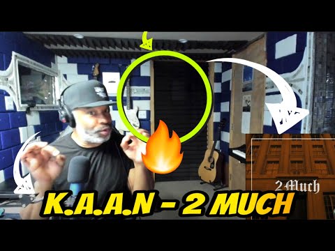K.A.A.N - 2 Much Official audio - Producer Reaction