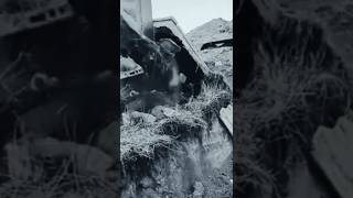 Download lagu mezarlıkta yaşanan korkunç an kamerada mp3