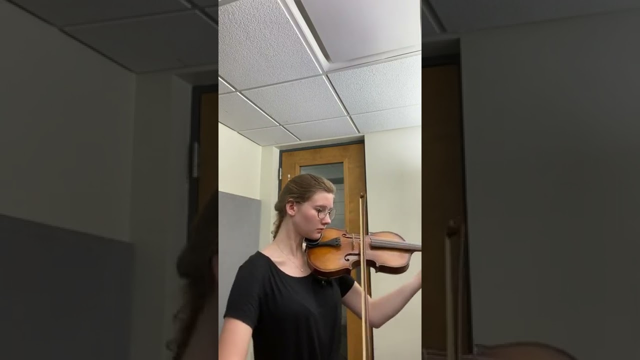 Promotional video thumbnail 1 for SophiaViolin