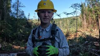 I am looking for extra Work in the Humboldt County area.