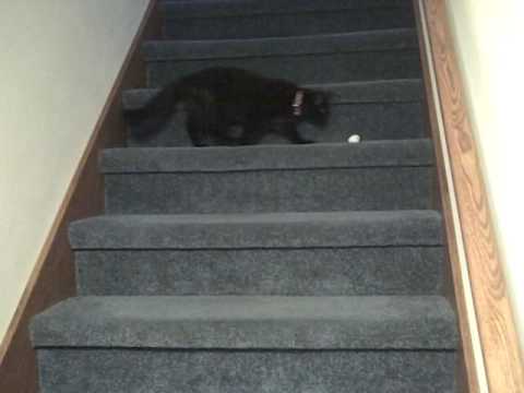 LaKeisha plays with paper balls