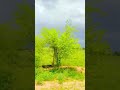 Rajasthan Ka Najara Beautiful Village Blue City