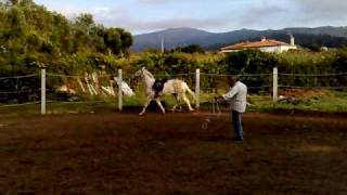 preview picture of video 'desbaste de cavalo appaloosa        ( looping horse )'
