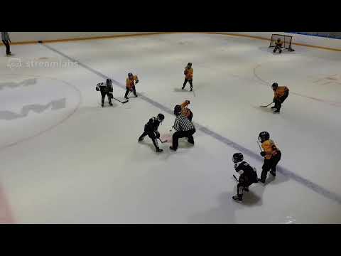 JYP E2 Pelitällit 16.2.2020 AAA JYP - Kalpa klo 9.50