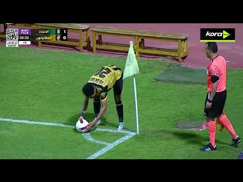 bg-highlight