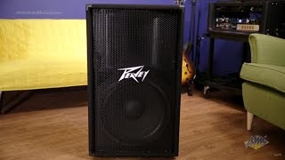 Video thumbnail for Peavey PV115 PA Speaker - Peavey PV115 by American Musical Supply