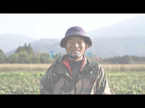 Remolacha de granja Asagiri: Kumamoto