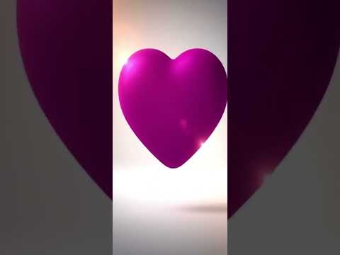Vídeo de bell