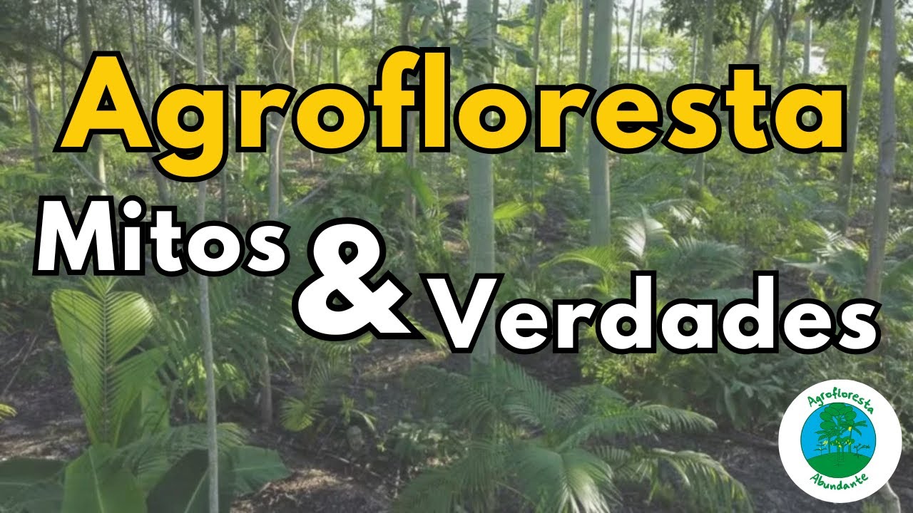 5 Grandes Mitos Sobre Agrofloresta Que Todo Mundo Acredita!