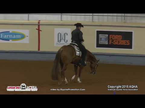 HUNTIN MY ZIPPER ridden by NANCY ANN ALTO-RENFRO  - 2015 AQHA World Show (Prelims - Jr Trail L3)