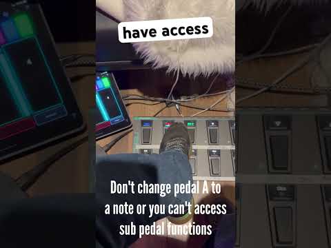 WHAT?! 🤯 Nektar Pacer trick! Loopy Pro!! #loopypro #fyp #looperpedal #musicproduction