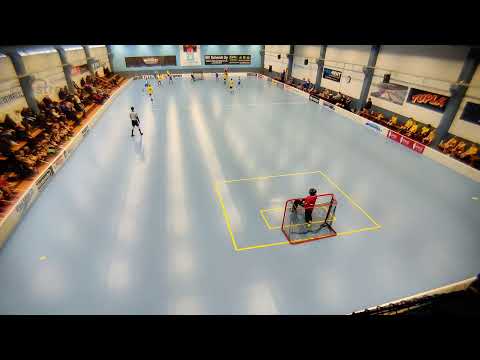 E1 23.2.2020 Welhot Flames - LeBa-96 Hearts