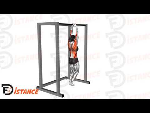 Exercice Tractions commando