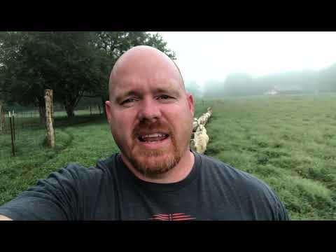 Hearing the Shepherds Voice. #lessonsfromsheep #EnjoyTheShepherd