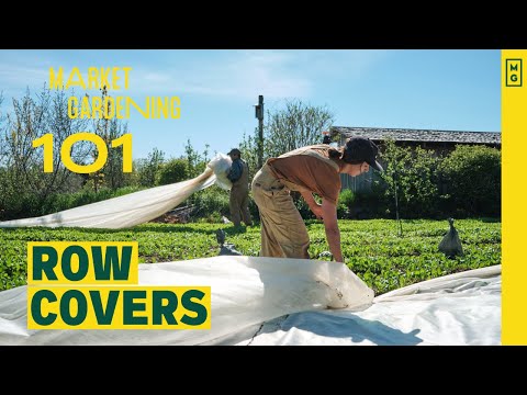 Market Gardening 101 | Row Covers