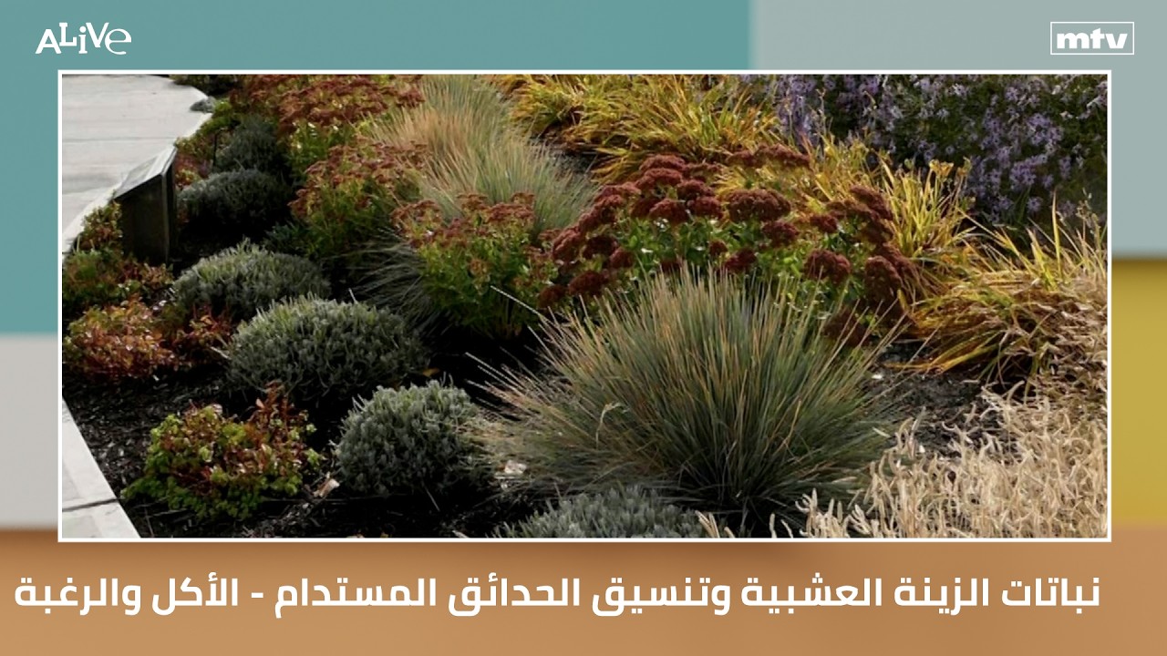 نباتات الزينة العشبية وتنسيق الحدائق المستدام - الأكل والرغبة