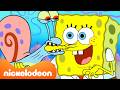 Bob Esponja | ¡2 horas de todos los momentos de Bob Esponja y Gary! 🐌💛 | Nickelodeon en Español DEFAULT Thumbnail