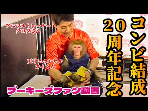 カイくん」のYahoo!リアルタイム検索 - X（旧Twitter）をリアルタイム検索