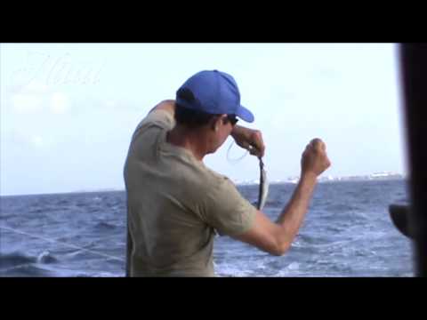 Kalassa rakkaan kanssa Karibialla