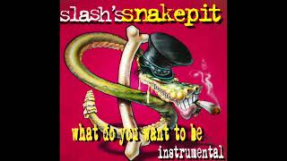Slash's Snakepit: What Do You Want To Be (Instrumental)