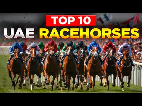 TOP 10 BEST RACEHORSES FROM THE UAE | DUBAI MILLENNIUM TO THUNDER SNOW