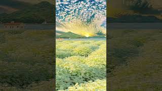 Download lagu naturelove🌿🍃#nature #love ❤🔥👑#sunrise #sun #flowers #whatsappstatus #environment #shorts mp3 Download lagu naturelove🌿🍃#nature #love ❤🔥👑#sunrise #sun #flowers #whatsappstatus #environment #shorts mp3