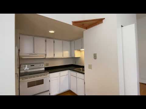 250 Warner - Video 2 of 2