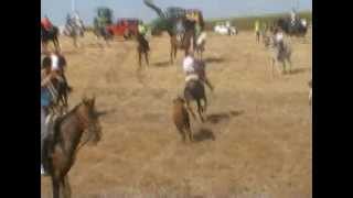 preview picture of video 'Encierro a Caballo TOPAS 2011'