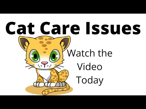 Cat Care Issues