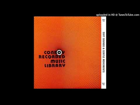 OTTO SIEBEN - Sailing Dreams