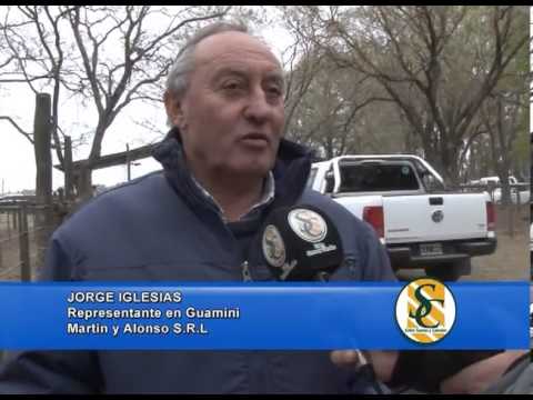 JORGE IGLESIAS - Martin y Alonso S.R.L. - Guaminí - 06/09/2013