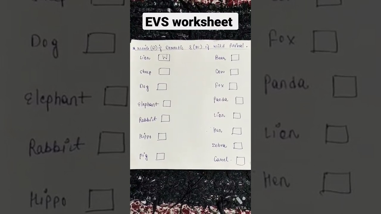 Domestic & Wild Animals || EVS Worksheet || #nursery #class1st #kidsgrowing #shortsvideo