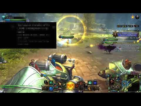 Neverwinter| paladin heal Tomm