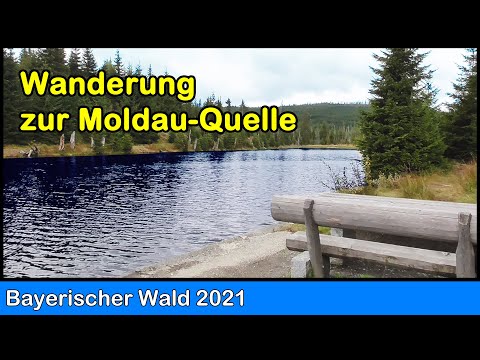 Bayerischer Wald - Wanderung zur Moldau-Quelle in Tschechien