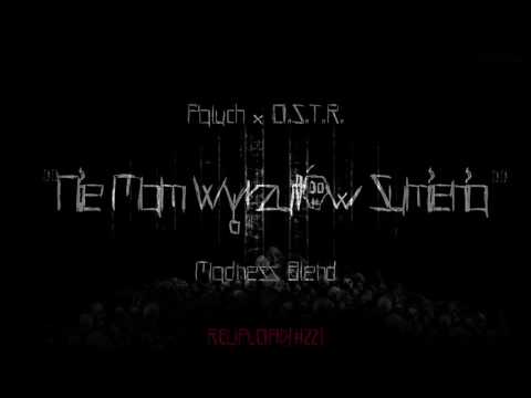 #18. Paluch x OSTR - Nie Mam Wyrzutów Sumienia (Madness Blend) 2017 [FreakShowBT][REUPLOAD#22]