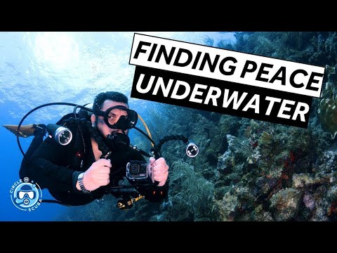 The Surprising Mental Health Benefits of Scuba Diving