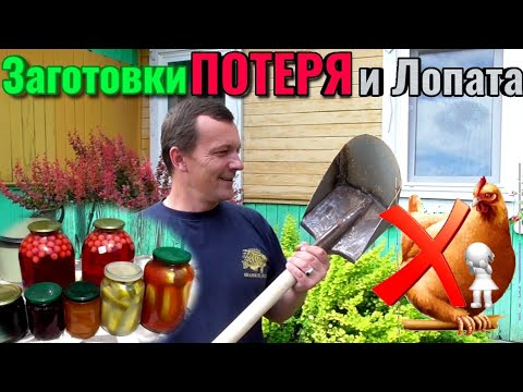 Заготовки на зиму, Потери в хозяйстве и Супер-лопата для копки глубоких и узких траншей.