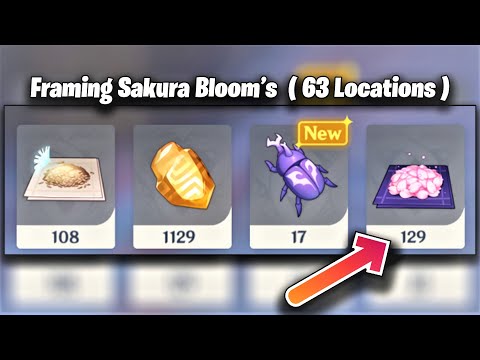 Ayaka Framing Guide 63 Sakura Bloom Locations - Genshin Impact Ayaka Framing Sakura Bloom Guide
