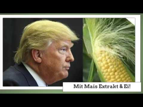 Donald Trump Shampoo - das Original!