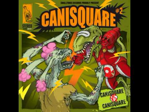 Canisquare - Between Gunshot And Friendship