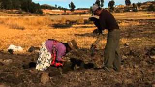 preview picture of video 'El Uysu - La Agricultura del pueblo Aymara del Titicaca (AribibiTV)'