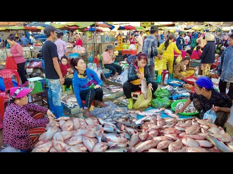 Morning Scene @Amazing Site Fish Distribution In Phnom Penh | Cambodia Wet Market