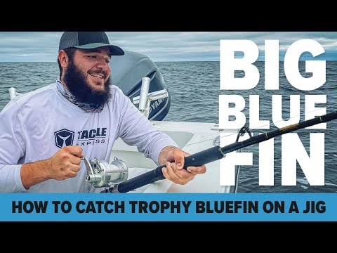 How to Catch a Trophy Bluefin Tuna on a Jig