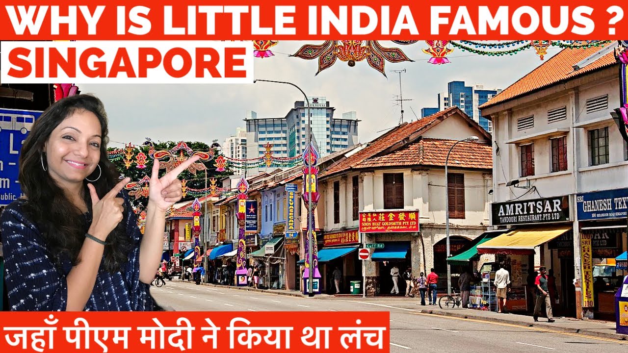 Witness a mesmerizing journey through Little India in this captivating video!