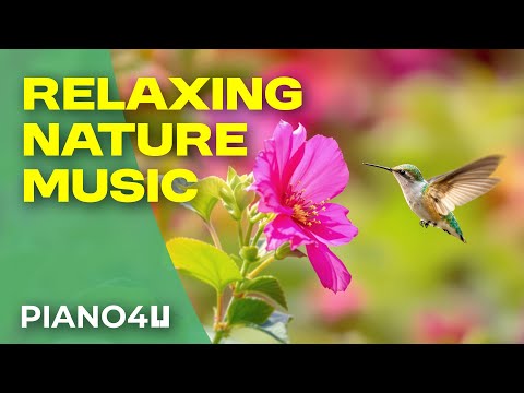 Peaceful Relax Piano music with Spring images, flowers and butterflies, Calm Meditation , Soothing
