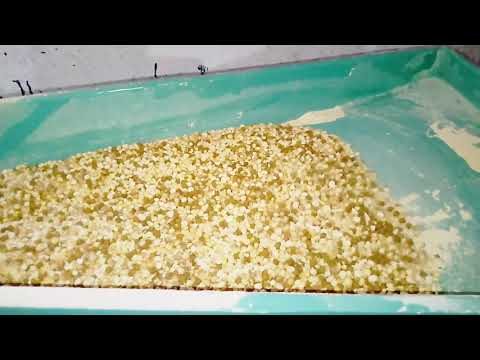 download lagu mp3 mp4 Sattu Making Machine, download lagu Sattu Making Machine gratis, unduh video klip Sattu Making Machine