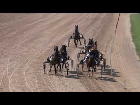 2019.08.10. 04. futam - PÉCS DÍJ